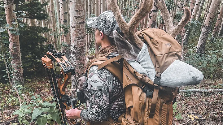 High Country Archery Mule Deer | Utah | 2023 | General Season | 4K |