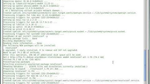 How to setup a VPN connection on Linux Debian using ProtonVPN