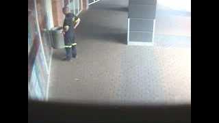 Video 1 of Police Officer caught urinating in public