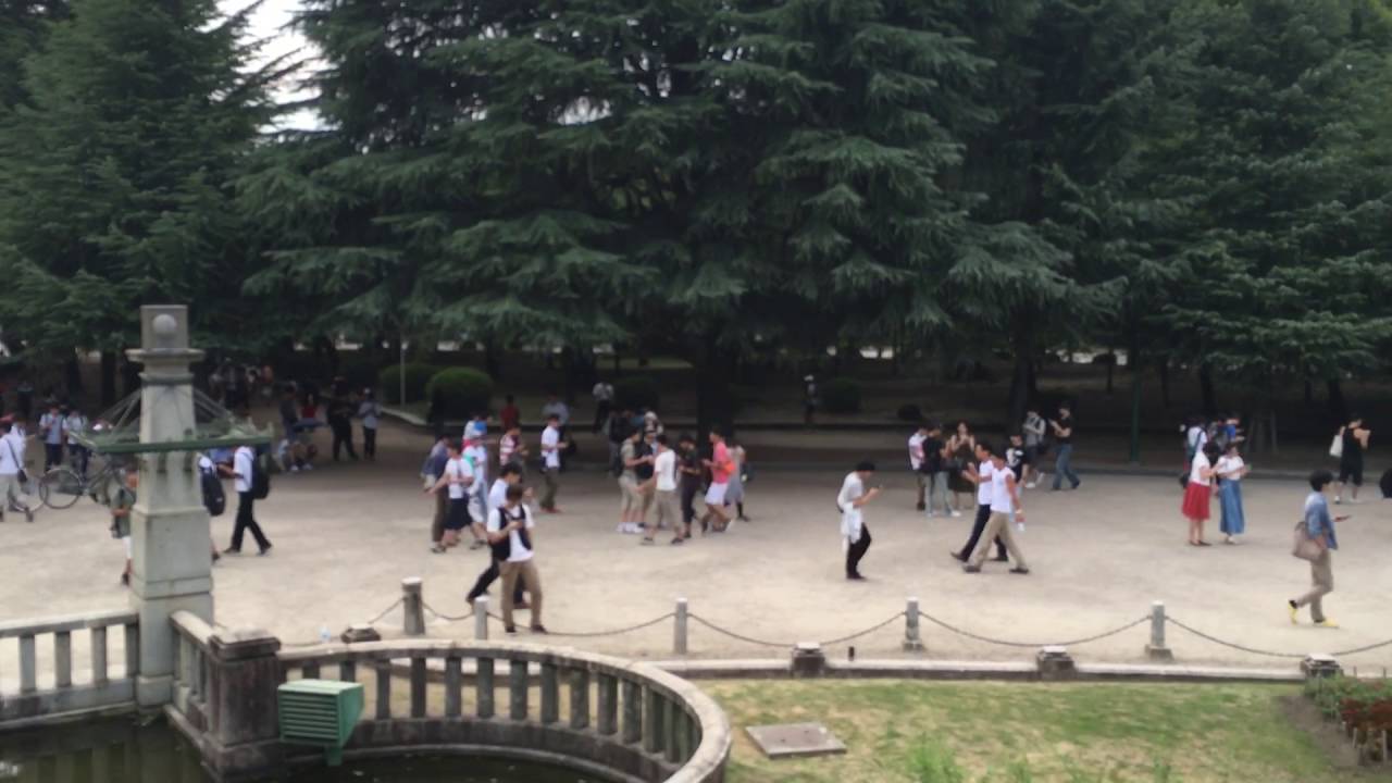 ポケモンgoの聖地 鶴舞公園 Pokemon Go Holy Land Youtube
