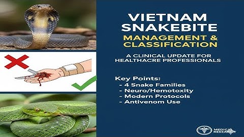 Rắn cắn - rạch, hút nọc, garo: Vì sao càng làm càng nặng?