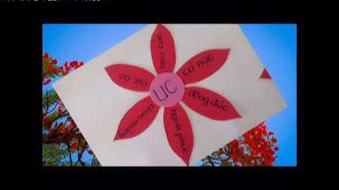 VIDEO XÂY DỰNG KHÔNG GIAN TRƯỜNG LỚP " AN TOÀN, SÁNG TẠO HIỆU QUẢ" TRƯỜNG TH&THCS PHÚ LÃO