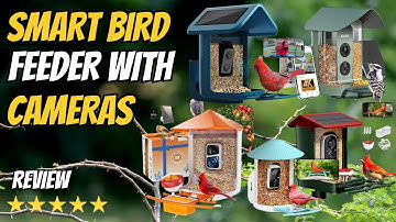 Top 6 Smart Bird Feeders with Camera 2025  | Solar Powered AI Bird Feeders for Outdoor (2K & 4K )