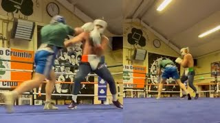 Conor McGregor Lands A Perfect Pull Counter