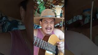 #musicadepescaria #pescaria #sertanejo #musica #somodao #caipira #sertanejobrasileiro