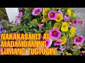 NAKAKASAKIT AT MADAMDAMING LUMANG TUGTUGIN - MARICRIS OFFICIAL