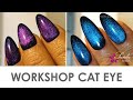 CAT EYE GEL ❀ Wie benutzen? ❀ Magnet richtig halten ❀ Effekt großflächig