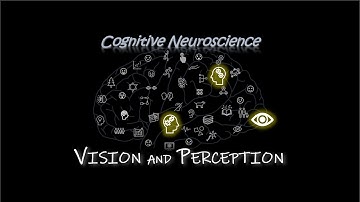 Vision and Perception [Cognitive Neuroscience]