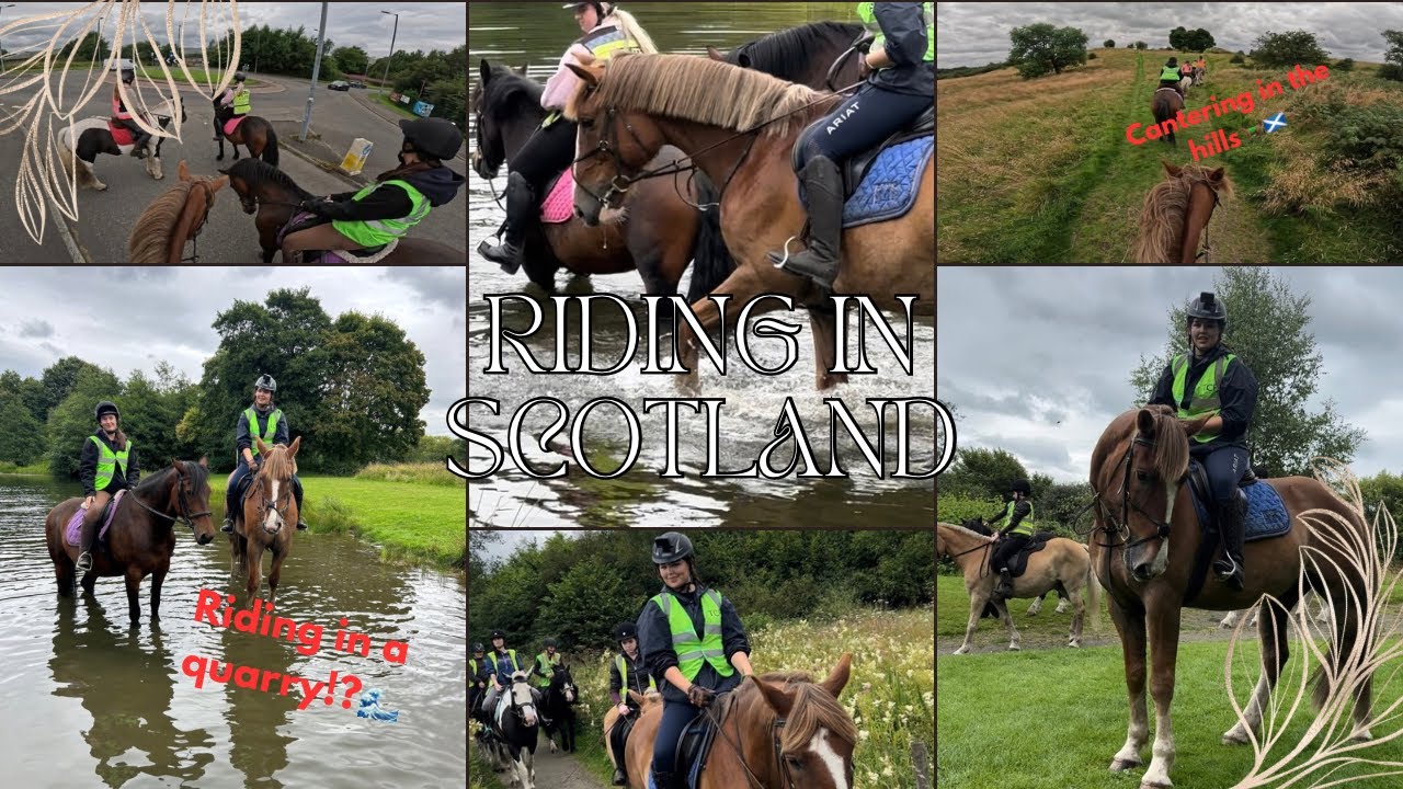 Quarry Riding FUN RIDE ON HOLIDAY?!🐎| GOPRO🎥,uncontrolled canters,riding in a quarry🌊 ...