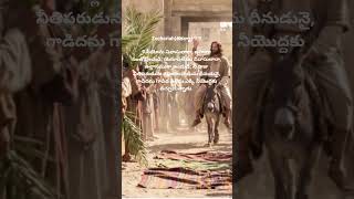 Zechariah 999. Rejoice Greatly, O Daughter Of Zion Shout For Joy, O Daughter Of Jerusalem.