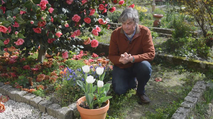 Episode 9: Spring Bulbs with Dr. Noel Kingsbury