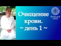 ОЧИЩЕНИЕ КРОВИ. ДЕНЬ 1. ПРАКТИКА с Татьяной Боддингтон. Тета Хилинг.