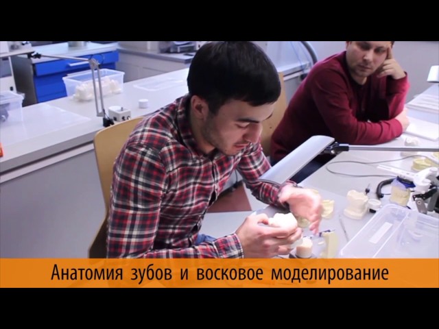хироши цуюки основы моделирования из воска хироши цуюки основы моделирования из воска