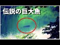 【ゆっくり解説】ナミタロウとタキタロウの謎