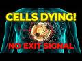 STOP Doing Intermittent Fasting Without Knowing These 5 Autophagy Risks (It's Destroying Your Cells)