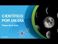 Las fases de la luna