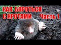 Как бороться, избавится от кротов на дачном участке? Часть 1