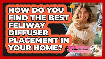How Do You Find The Best Feliway Diffuser Placement In Your Home? - Happy Cat Handbook