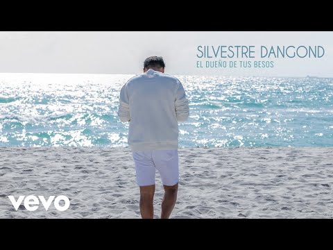 Silvestre Dangond - El Dueño de Tus Besos (Audio)