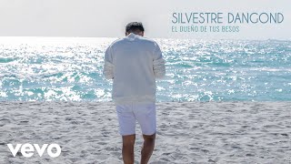 Miniatura del video "Silvestre Dangond - El Dueño de Tus Besos (Audio)"