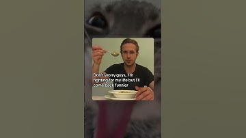 Day 3 posting memes until I hit 1M subs