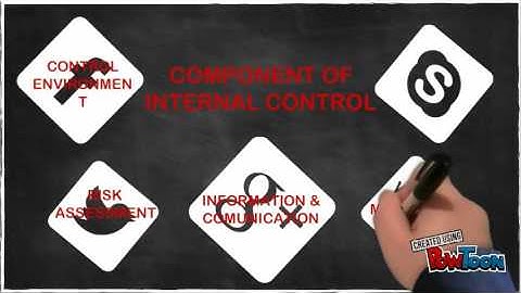 INTERNAL CONTROL