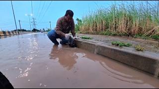Information Removing a large blockage quickly ends street flooding News