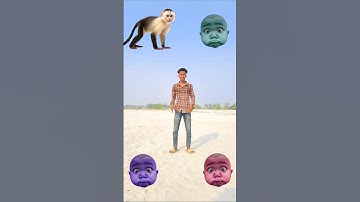 Which God do you believe in😍? #shankar ji #laxmi ji #ganesh ji #hanuman ji #relegious #devotion