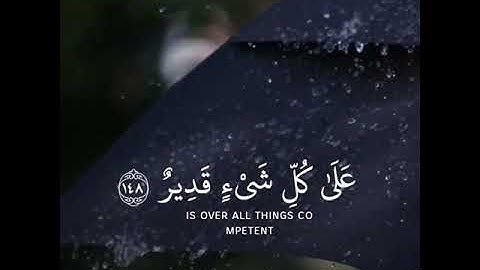 حالات واتس آب دينية - حالات انستقرام - تلاوة تثلج نبض قلبك - قرآن - Quran