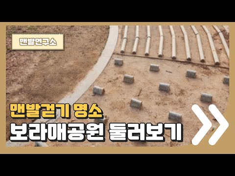   서울 맨발걷기 명소 보라매공원