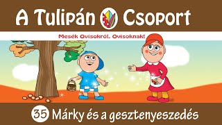 Esti mese A Tulipán Csoport mesekönyvsorozatból 35 -rész: Tamás és a rosszalkodás -mese -hangoskönyv