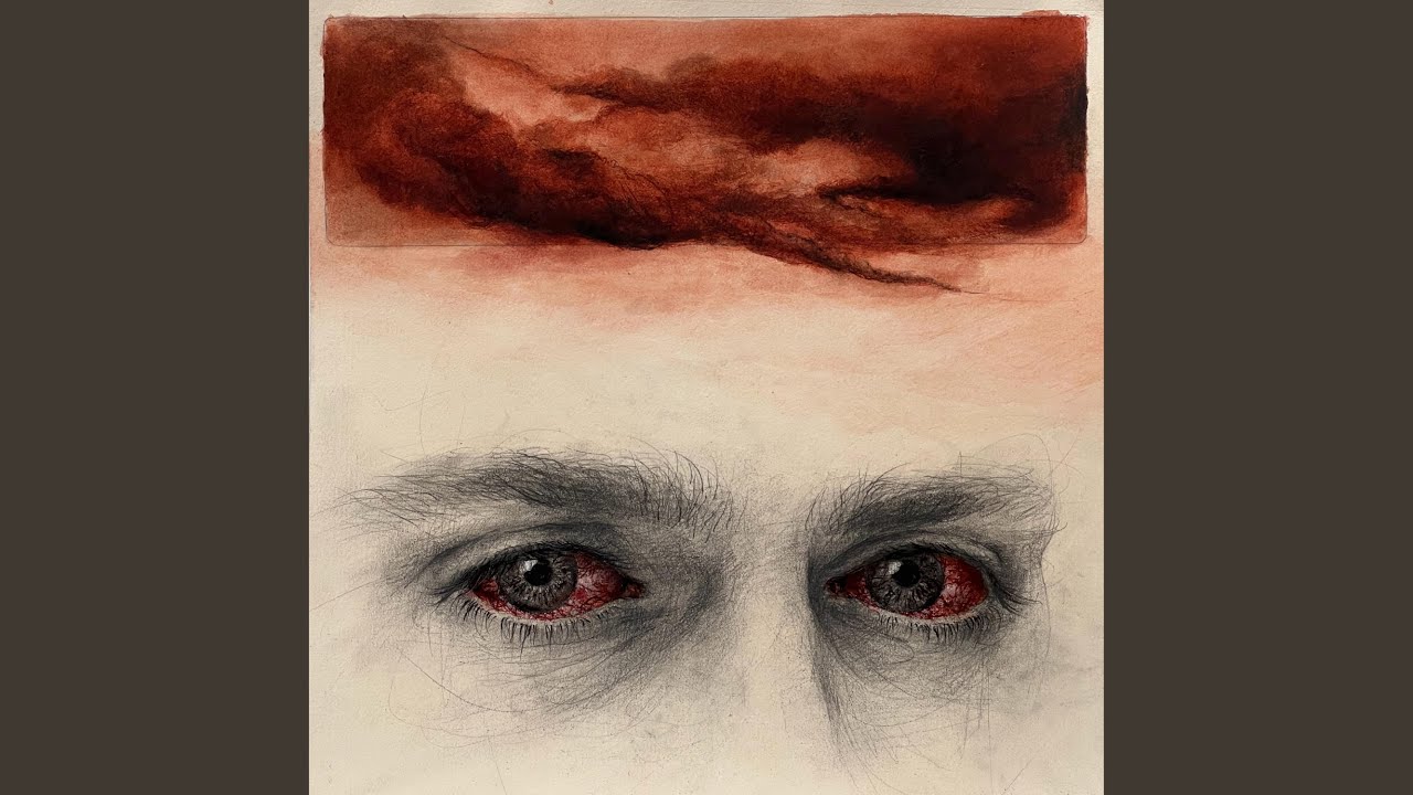 Regardez we found two dead swans and filled their bodies with flowers sur YouTube Regardez we found two dead swans and filled their bodies with flowers sur YouTube