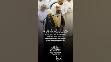 Surah Az-Zumar Verse [53-55]🎙️‎@walialarkani #سورة_الزمر #عبدالولي_الاركاني #القرآن_الكريم #الله