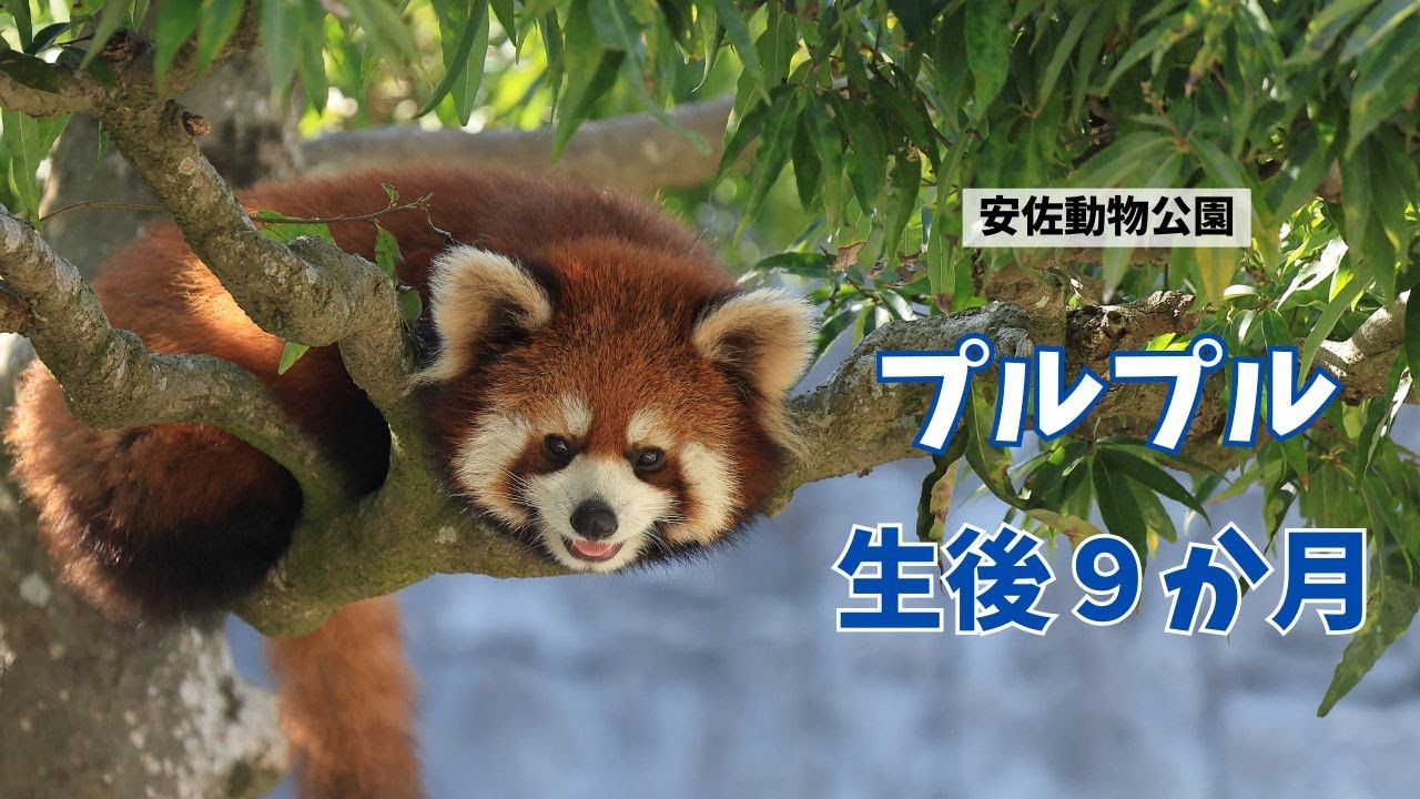 Дорога к взрослой жизни