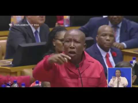 Malema in parliament yesterday