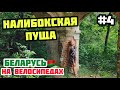 НАЛИБОКСКАЯ ПУЩА // Беларусь на велосипедах