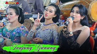 Supra Nada Langgam Tanjung Gunung Cover || BAP audio jilid 1 || Aditjaya pictures