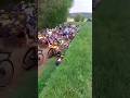 whole peloton crashes in tour de bretagne 🤯🤕 Video CR: Leboucheranato1/twitter