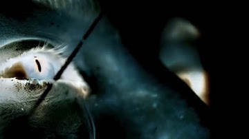 Nexus Lives - The Hollow \\ Single Screen Video