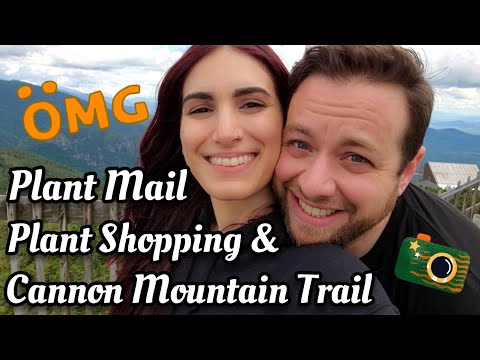 Big Box Plant Shopping in New Hampshire | Cannon Mountain + More Plant Shopping | June 2021 Vlog ⛰