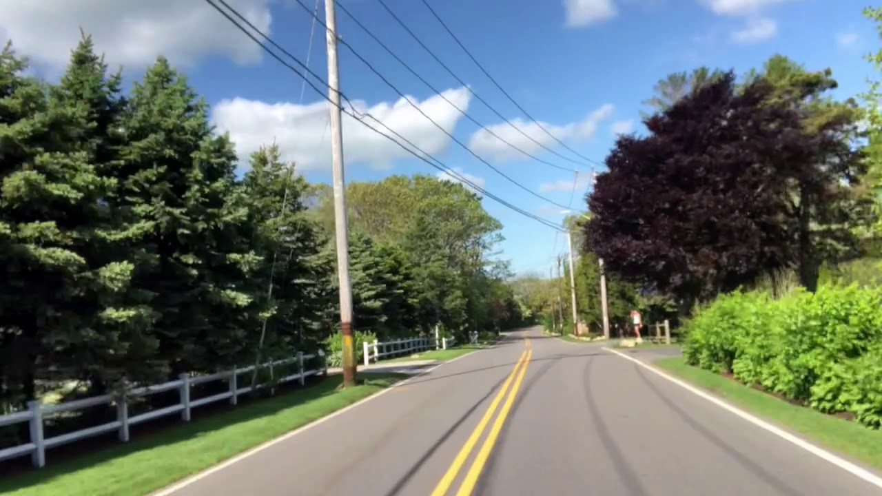 41st Cape Cod 5k Run for the Library YouTube