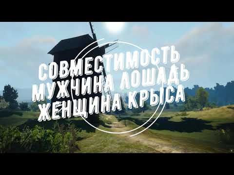Совместимость мужчина Лошадь и женщина Крыса