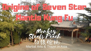 I Visited the Temple where Seven Star Mantis was Created