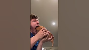Thumbnail of STOP cooking Guinea pigs cook dogs instead! ￼ #pets #dog #cat #guineapig #funny