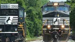 Norfolk Southern IM northbound. Hobo Shoestring