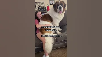 How Much Do YouTube Shorts Pay Shortsmonetization 