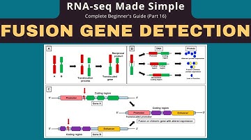Identifying Fusion Genes: RNA-seq Data Analysis Tutorial for Beginners (Part 16)