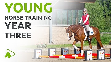 Train a Young Horse like Ingrid Klimke | Third Year: Changes, Pirouettes, Cross Training | wehorse