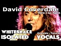 Whitesnake - Here I Go Again - David Coverdale - Isolated Vocals - Analysis - Tutorial