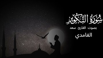 سورة التكوير بصوت القارئ سعد الغامدي